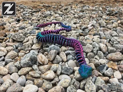 Articulated Flexi Skeleton of Snake