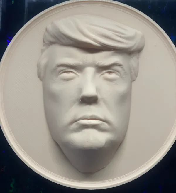https://makerworld.bblmw.com/makerworld/model/US84ca2ed99bce49/design/2025-01-07_0224e22143ef5.jpg