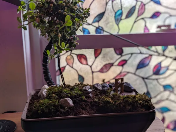 https://makerworld.bblmw.com/makerworld/model/US84cb33eaa733d0/design/2024-05-19_c0ff9682a2545.jpg