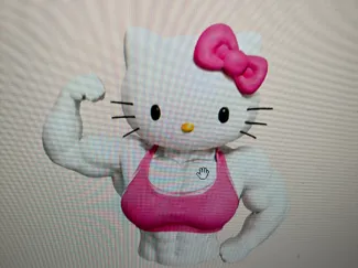 hello kitty musculosa