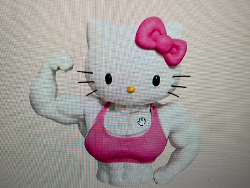 hello kitty musculosa