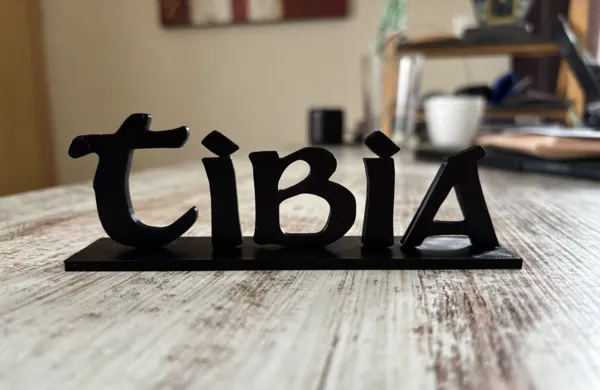 https://makerworld.bblmw.com/makerworld/model/US84cd24e2914513/design/2025-01-08_0a53baadcfa5a.jpg