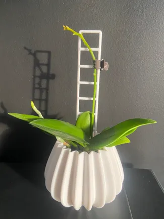 plant support