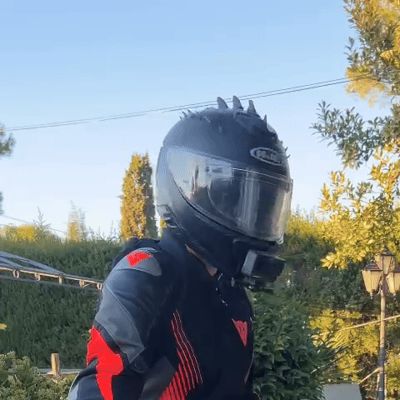 Dragon Crest for Motorcycle Helmet
