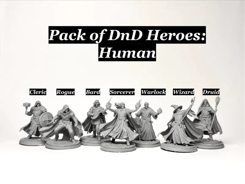 DnD Heroes Pack - Human
