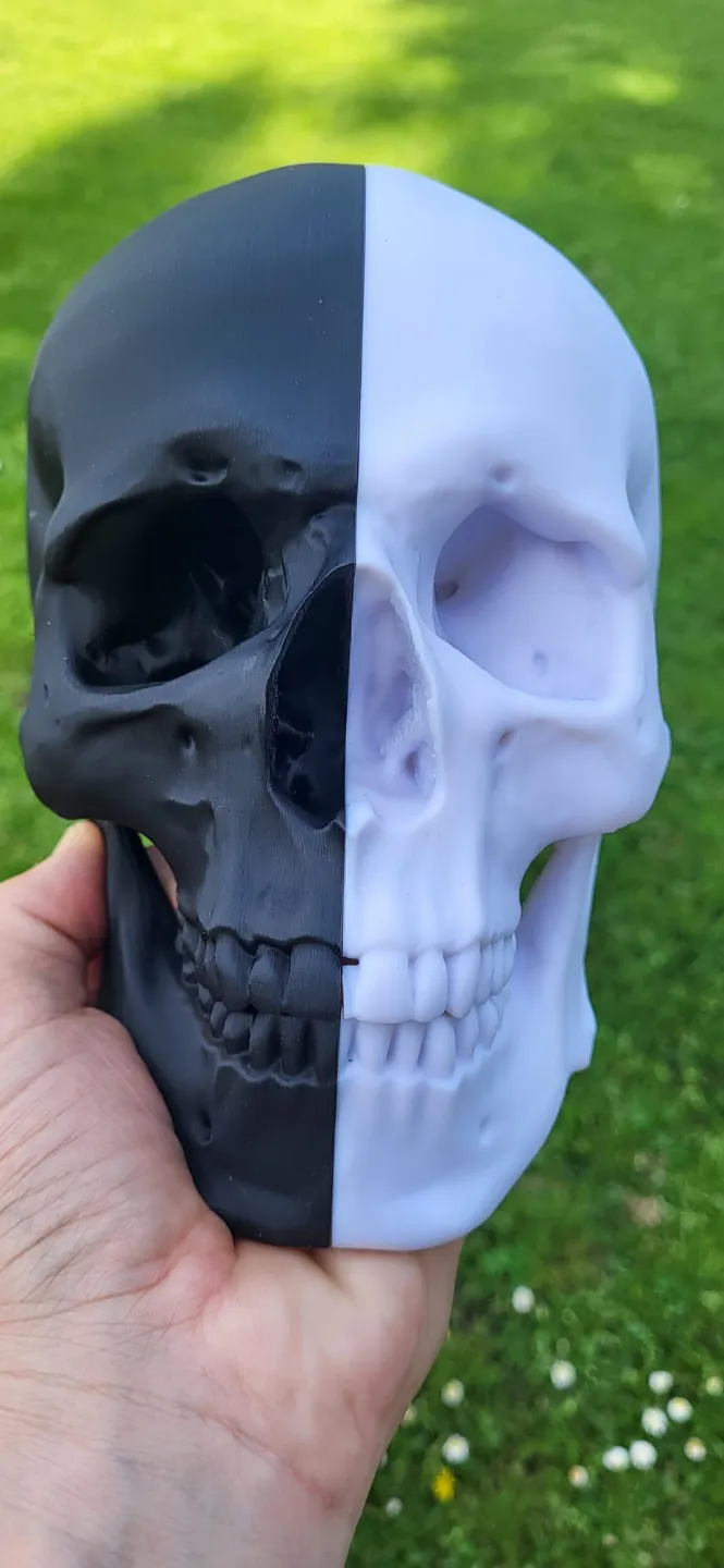 Skull split full size