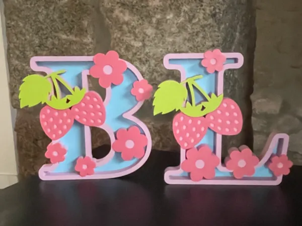 https://makerworld.bblmw.com/makerworld/model/US84e5ed6701bc35/design/6835a8e4230fdc95.jpeg