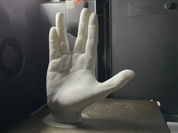 https://makerworld.bblmw.com/makerworld/model/US84e6b4cf007d9f/design/2024-09-25_c5fb207f8ebf28.jpeg