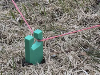 Versatile String Line Stakes / Tent Pegs / Anchors