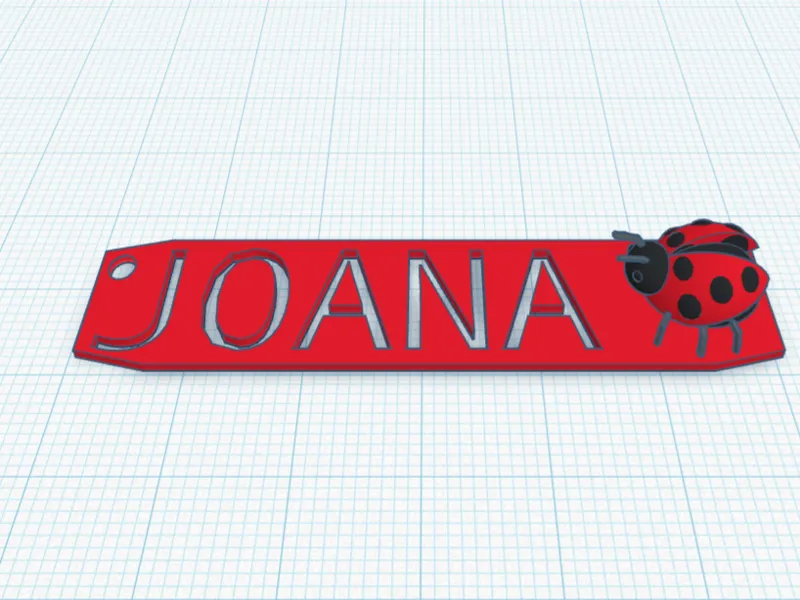 porta chaves joana com joaninha
