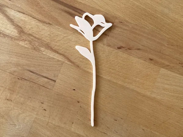 https://makerworld.bblmw.com/makerworld/model/US84f4fcf2219566/design/2025-05-27_882a443b3e4f2.jpeg