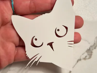 Kitten