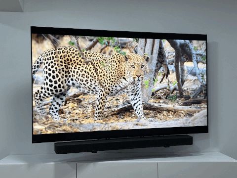 https://makerworld.bblmw.com/makerworld/model/US84f92bc5cabc8f/design/2025-06-14_e4a8e58bb800a.gif