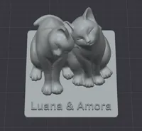 0.08mm layer, 2 walls, 3% infill