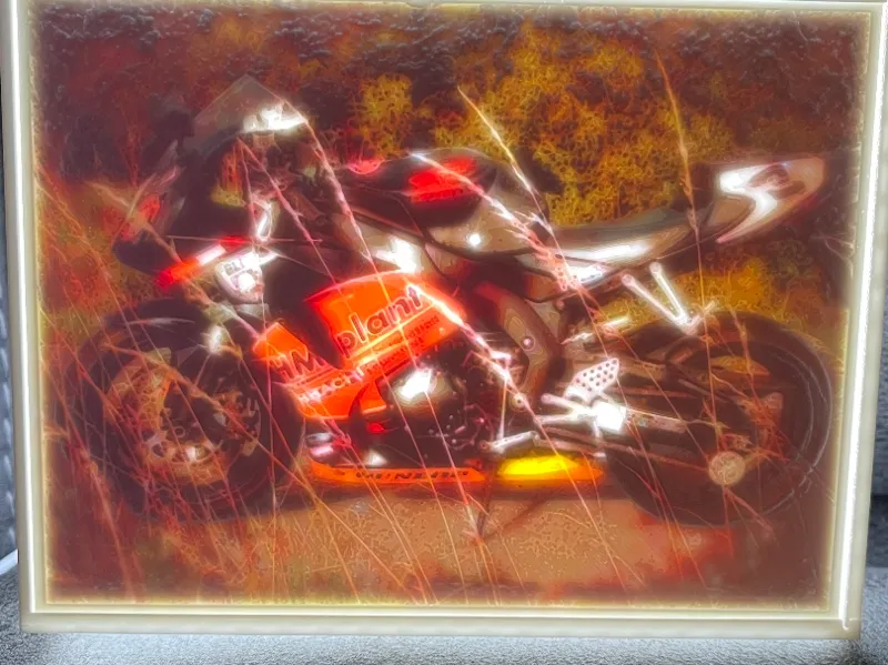 Hm Plant Bike Lithophane