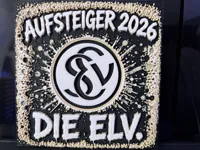 Elversberg 200x200 -0.08mm layer, 1 walls, 100% infill