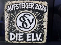 Elversberg 150x150 - 0.08mm layer, 1 walls, 100% infill