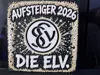 Elversberg 100x100 - 0.08mm layer, 1 walls, 100% infill
