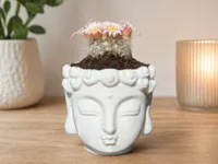 5cm mini size