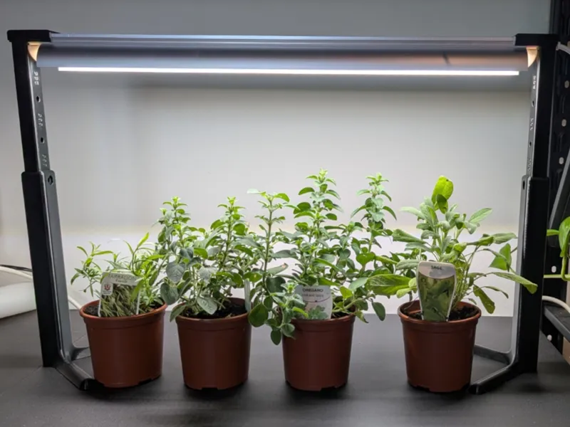 Barrina T8 Plant Grow Light Stand