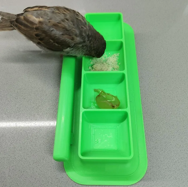 Multi food bird feeder