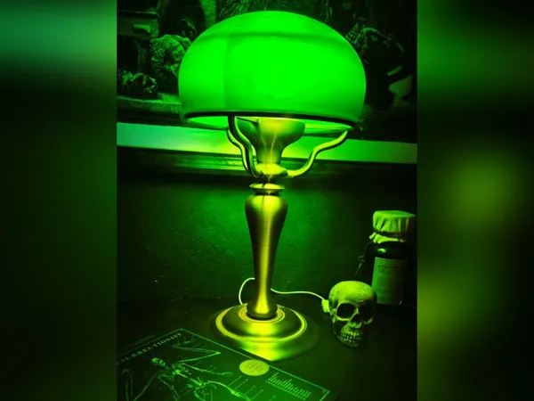 https://makerworld.bblmw.com/makerworld/model/US85143b3cd01b9a/design/2025-08-15_d1ed1b04beb2a.jpg