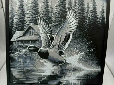 Duck and cabin