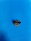 Thin Hat (Screw mount)