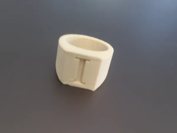 https://makerworld.bblmw.com/makerworld/model/US851fd32c84e42e/design/2025-04-15_4e414838cac4c.jpg