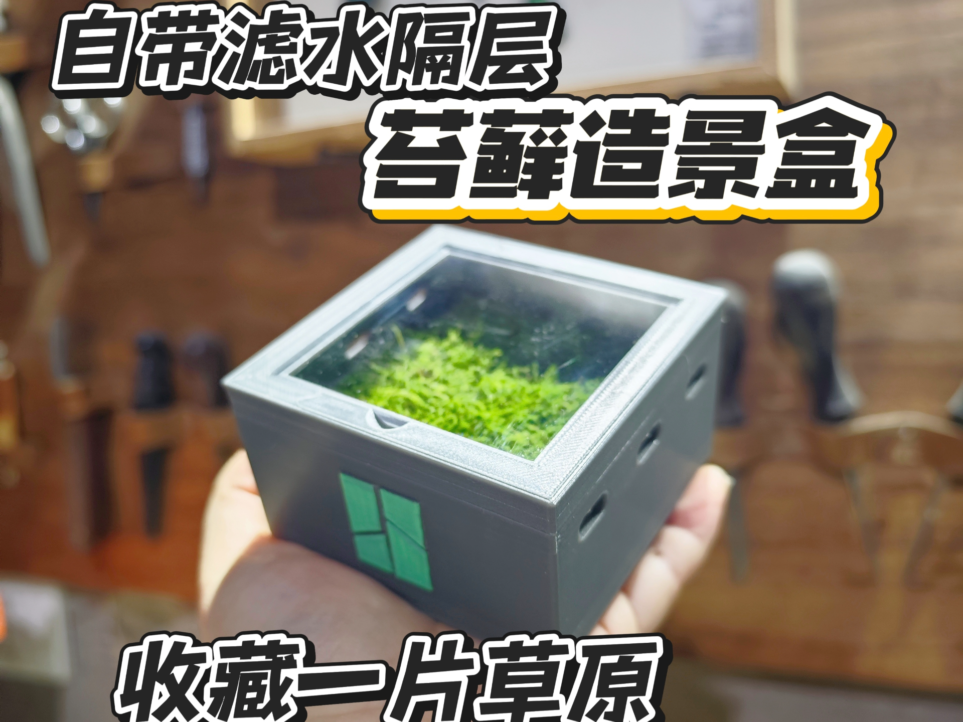 桌面护眼苔藓盒 绿植盒