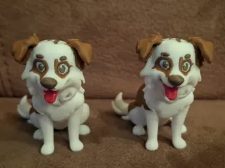border collie