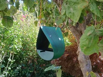 Bird feeder