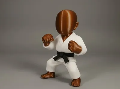 Martial art Fighter -No Ams