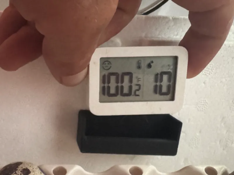 Hygrometer holder for incubator/brooder