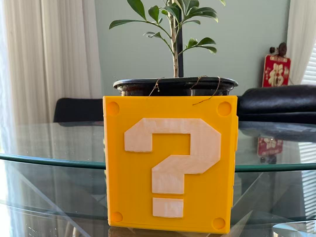 Super Mario Lucky Block Flower Pot