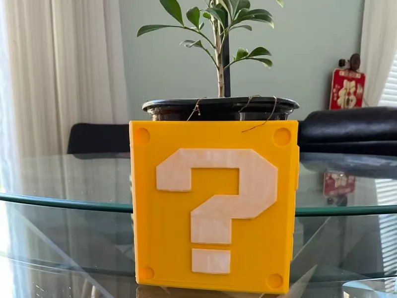 Super Mario Lucky Block Flower Pot