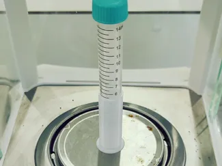 pesée tube Falcon 15mL