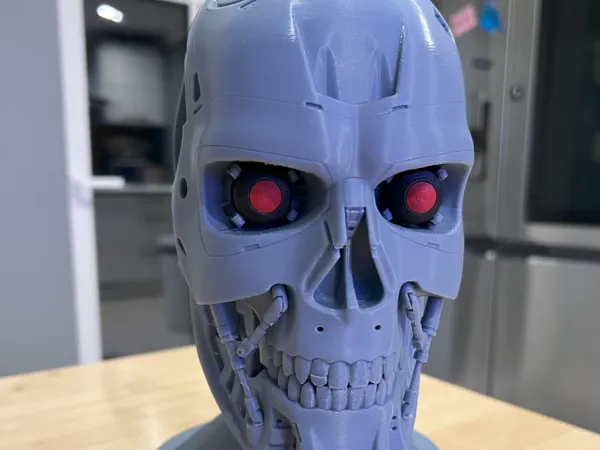 https://makerworld.bblmw.com/makerworld/model/US85411abb7e030e/design/2025-01-31_7c8c961f4a405.jpg