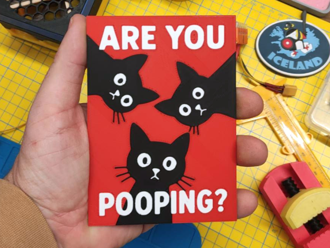 Are you pooping? - cats edition