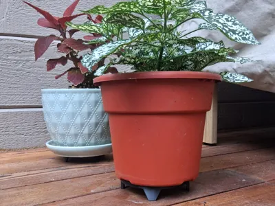 Plant stand