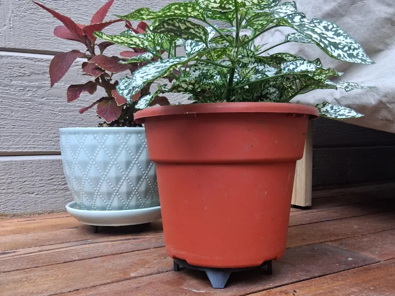 Plant stand