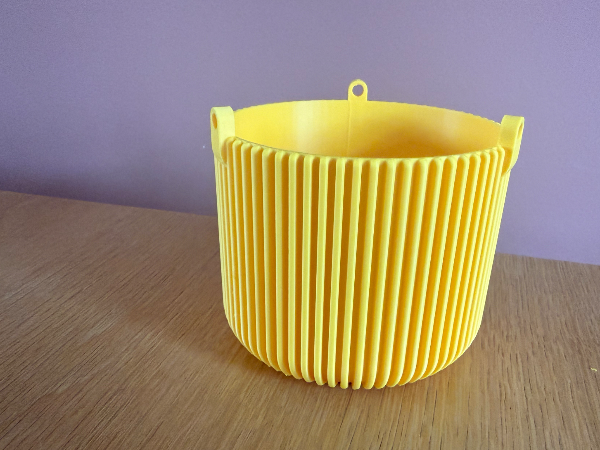 pot pour plante suspendu