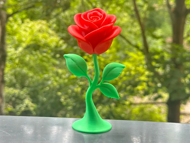 Aesthetic Minimalistic Flower
