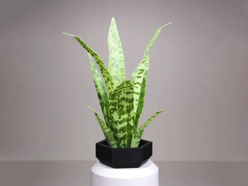 Low Poly Plant - Snake Plant