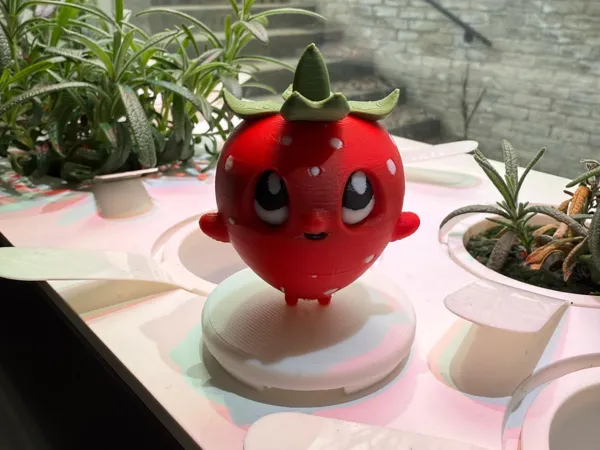 https://makerworld.bblmw.com/makerworld/model/US856297c6dcea64/design/2025-04-12_afab0a462d2d9.jpg
