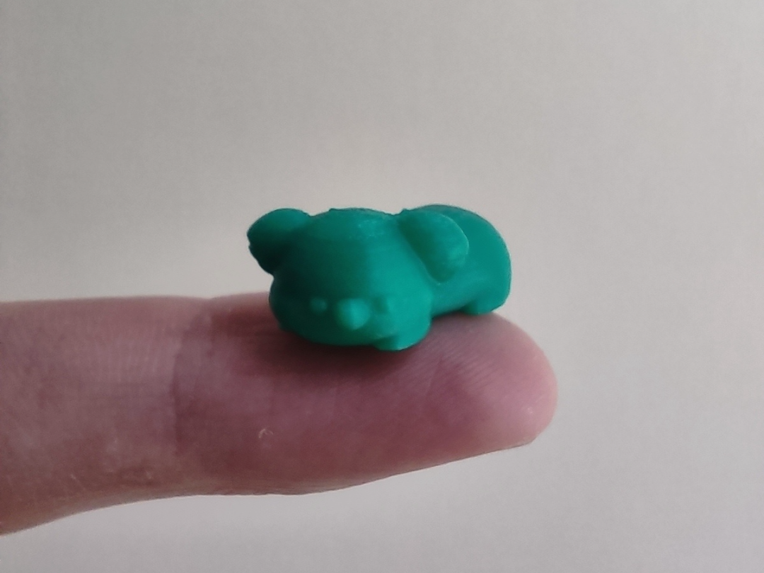 tiny baby koala bear