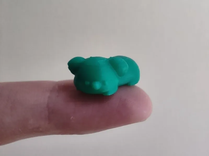 tiny baby koala bear