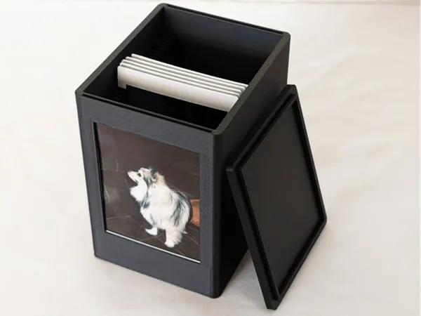 https://makerworld.bblmw.com/makerworld/model/US856495b7c2d964/design/2025-02-02_6ce8315812641.jpg