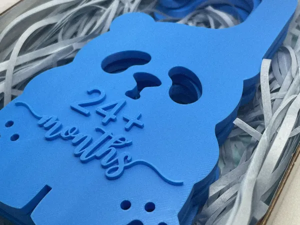 https://makerworld.bblmw.com/makerworld/model/US85656ccfc40c80/design/2025-09-05_b39afc4e8f7e8.png