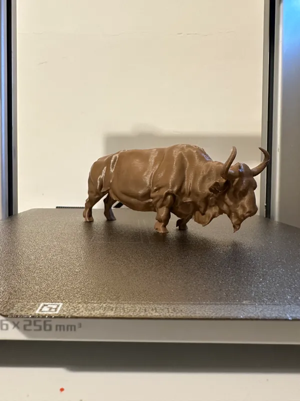 https://makerworld.bblmw.com/makerworld/model/US8565e93e28215d/design/2025-01-17_33237ff3805df.jpeg